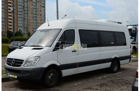 фотография Микроавтобус Mercedes Sprinter 313 (040)