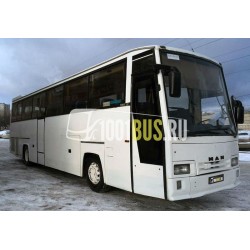 Автобус MAN (385)